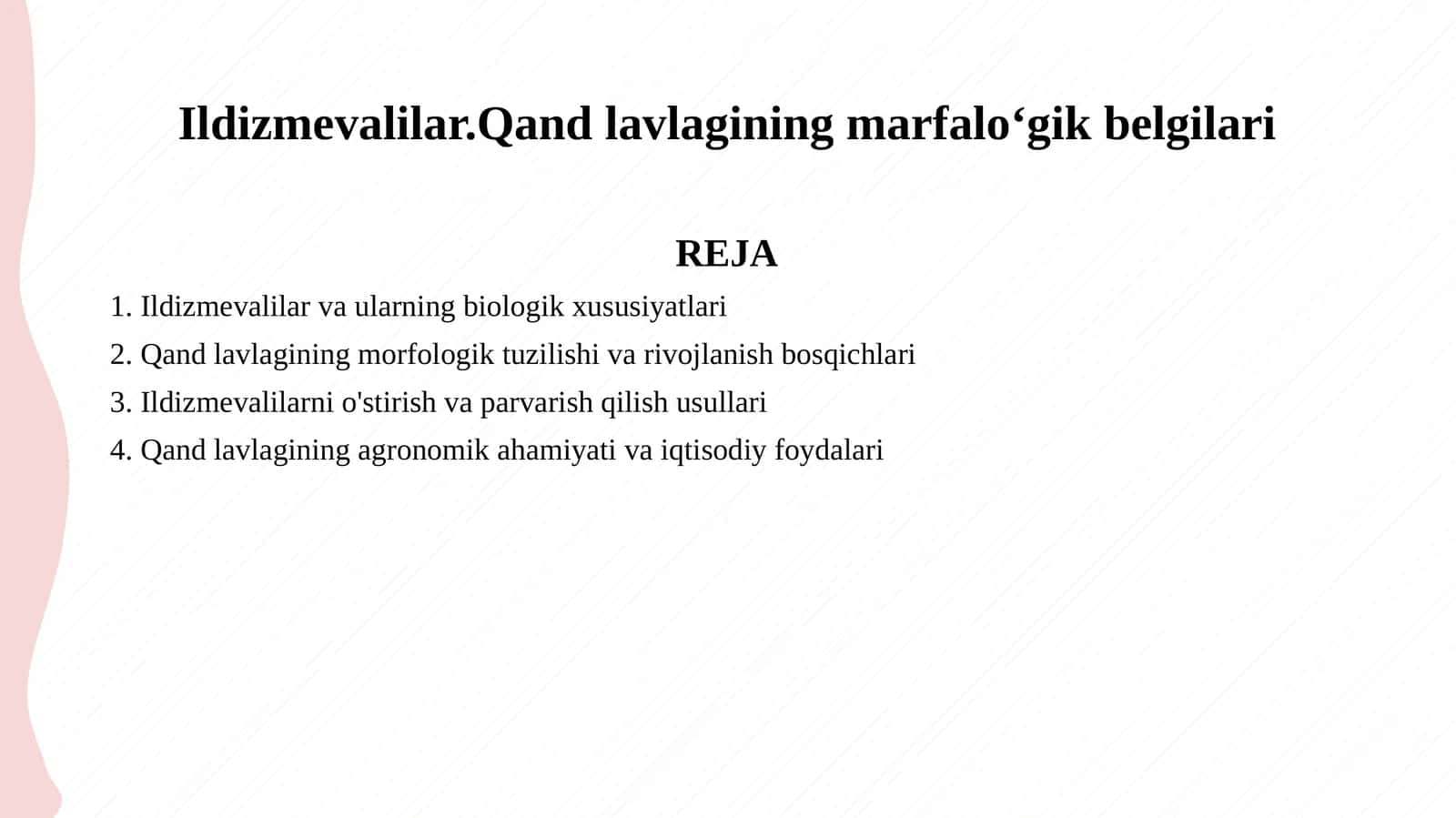 Ildizmevalilar.Qand lavlagining marfaloʻgik belgilari 1