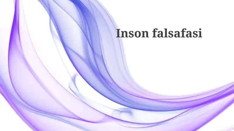 Insonfalsafasi 1