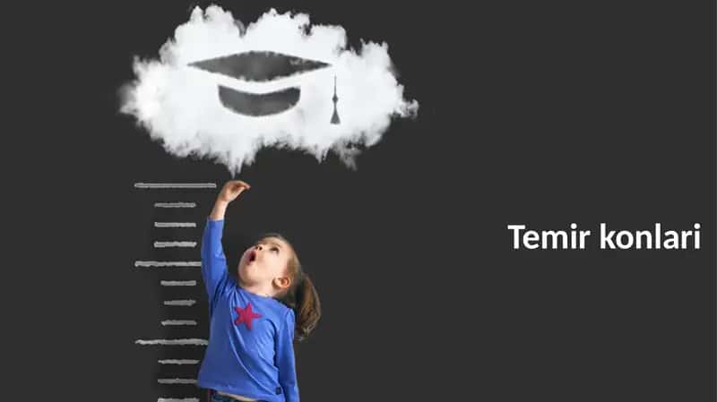 Temirkonlari 1