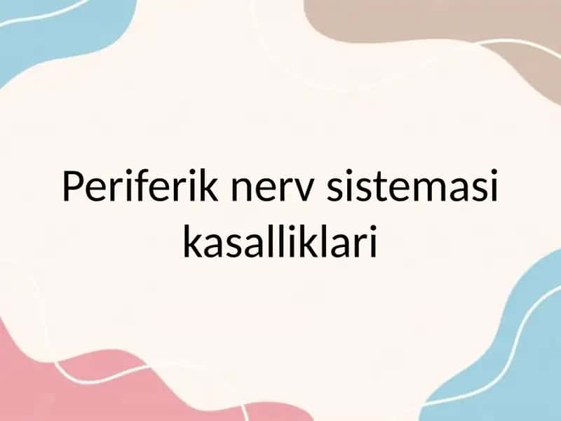 Periferik nerv sistemasi kasalliklari etiologiyasi klinikasi davolash va parvarish qilish usullari profilaktikasi. rejada nevritlar, polinevritlar haqda 1