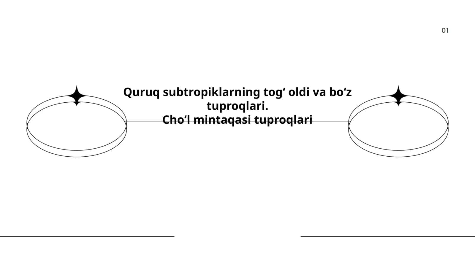 Quruq subtropiklarning togʻ oldi va boʻz tuproqlari.Choʻl mintaqasi tuproqlari 1