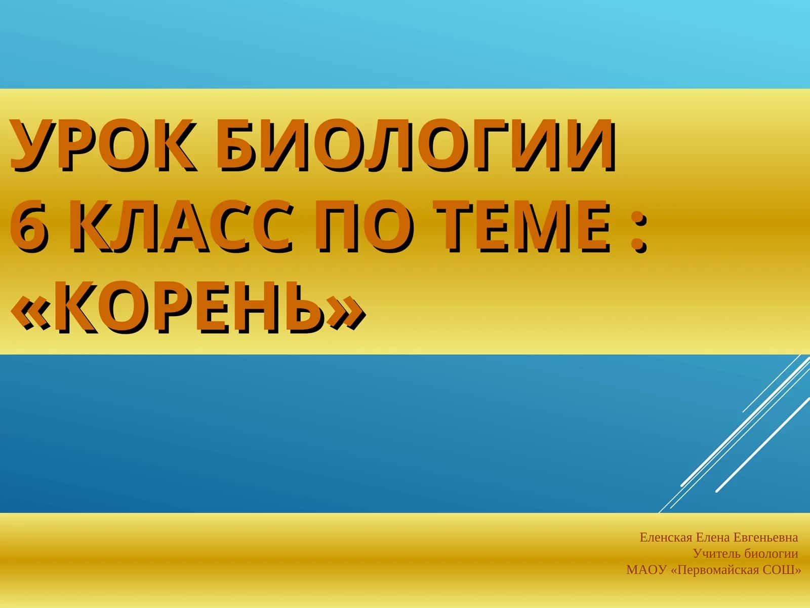 Урок биологии 6 класс по теме : «Корень» 1