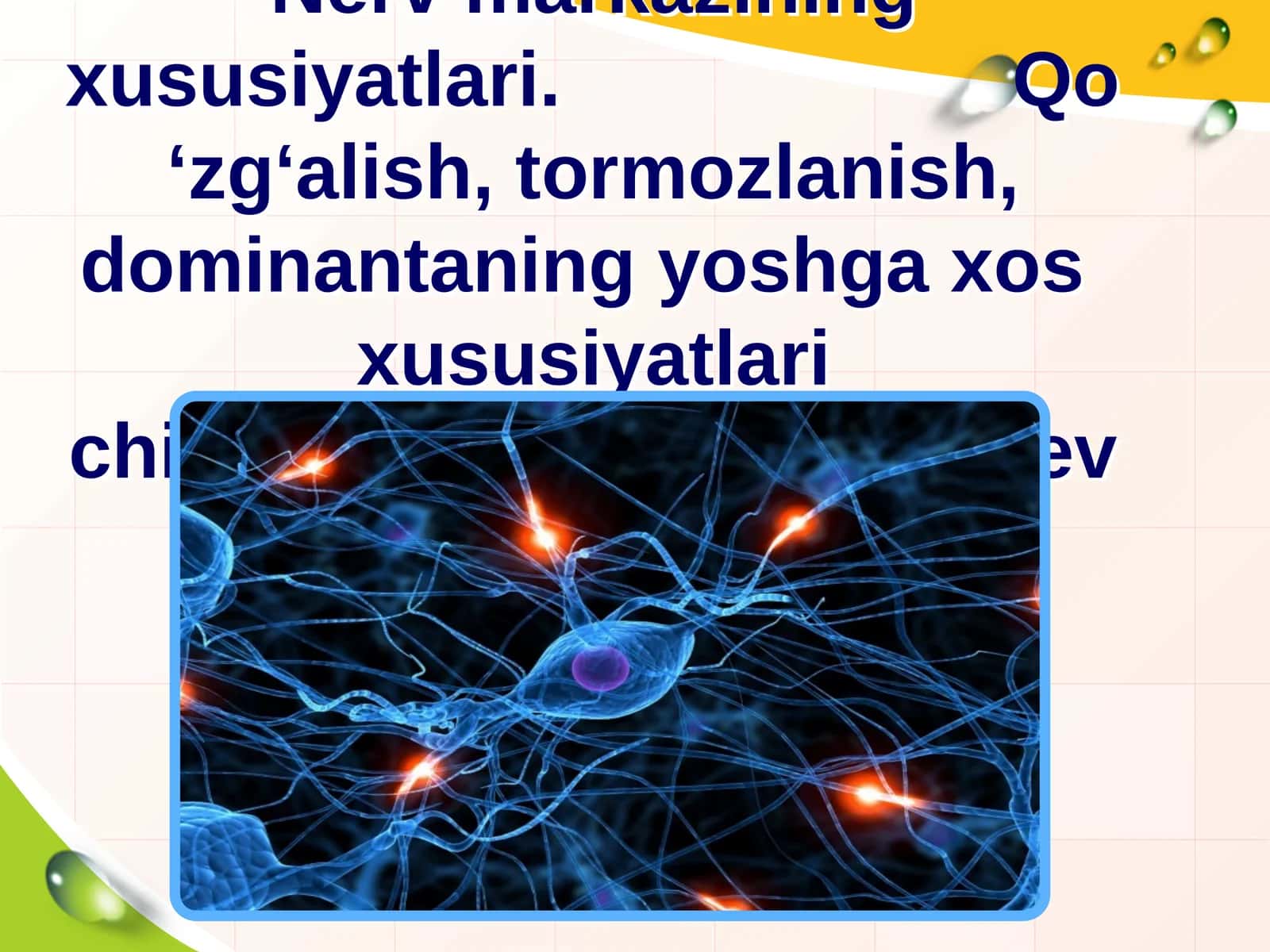 Nerv markazining xususiyatlari. Qo ‘zg‘alish, tormozlanish, dominantaning yoshga xos xususiyatlarichi 1