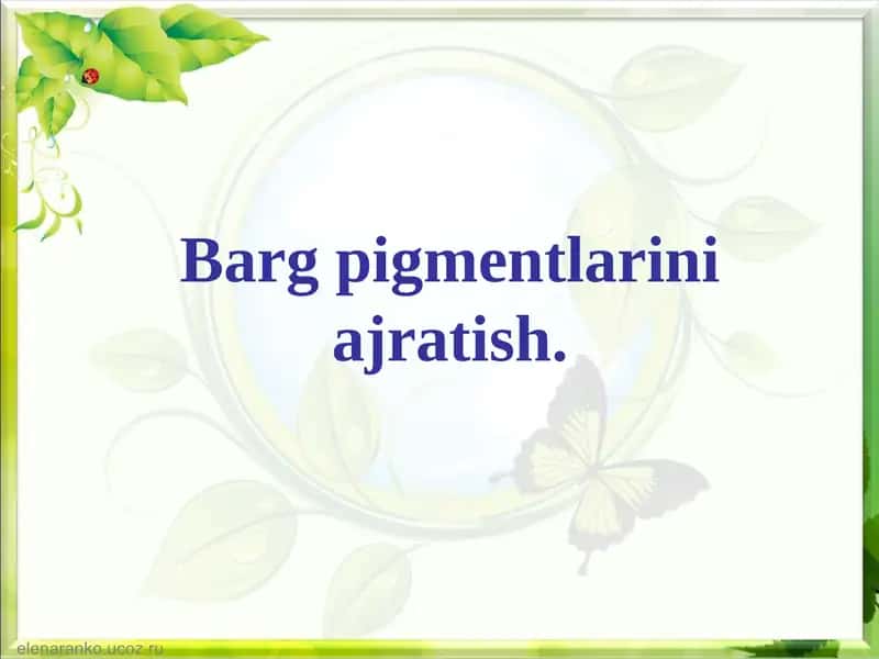 Pigmentlar va ularning xilma-xilligi 1