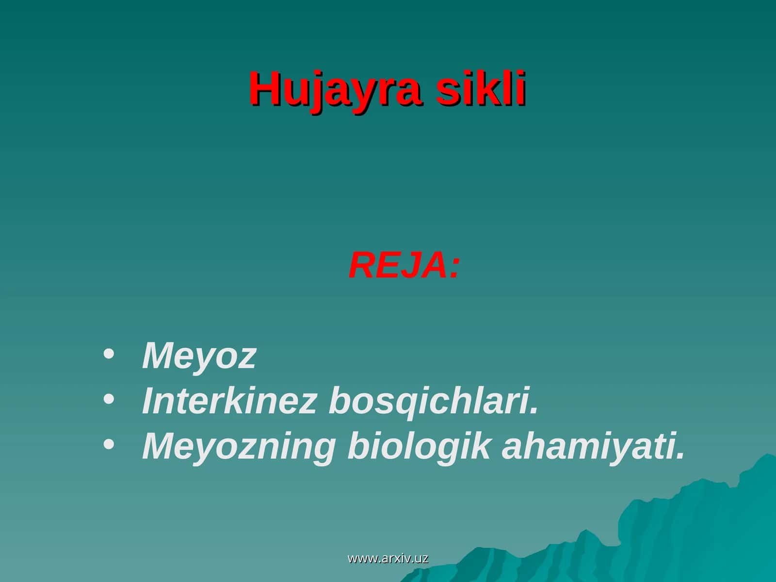 Meyoz 1