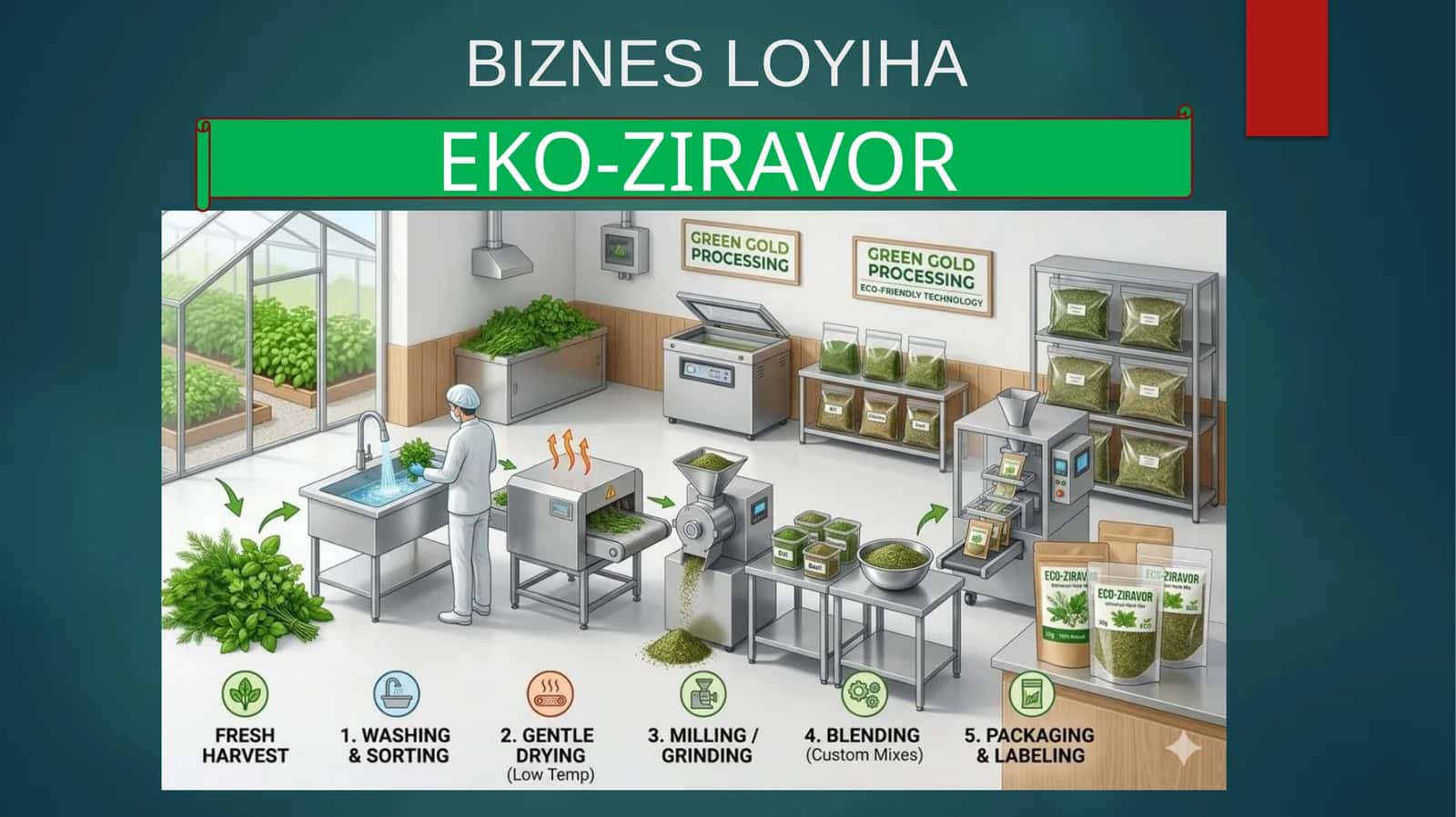 (100 millionlik loyiha ishi)  EKO-ZIRAVOR 1