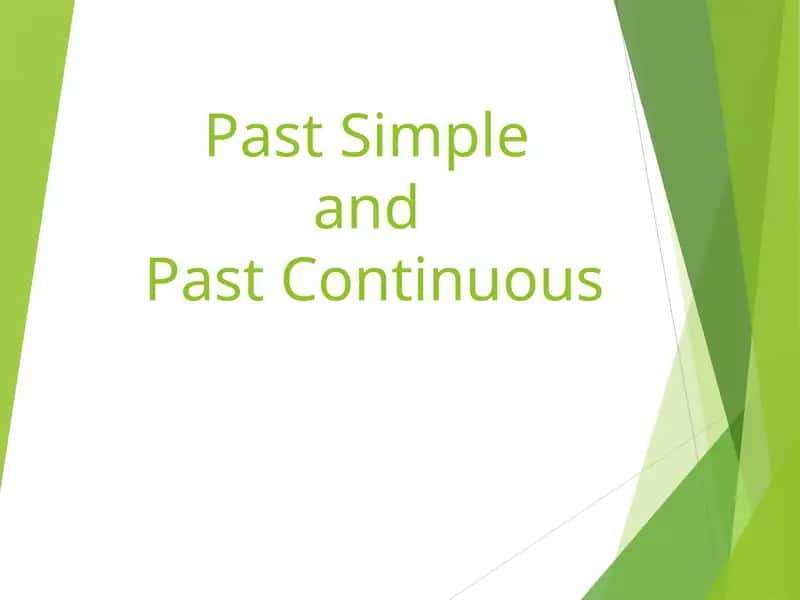 Past Simple and Past Continuous 1