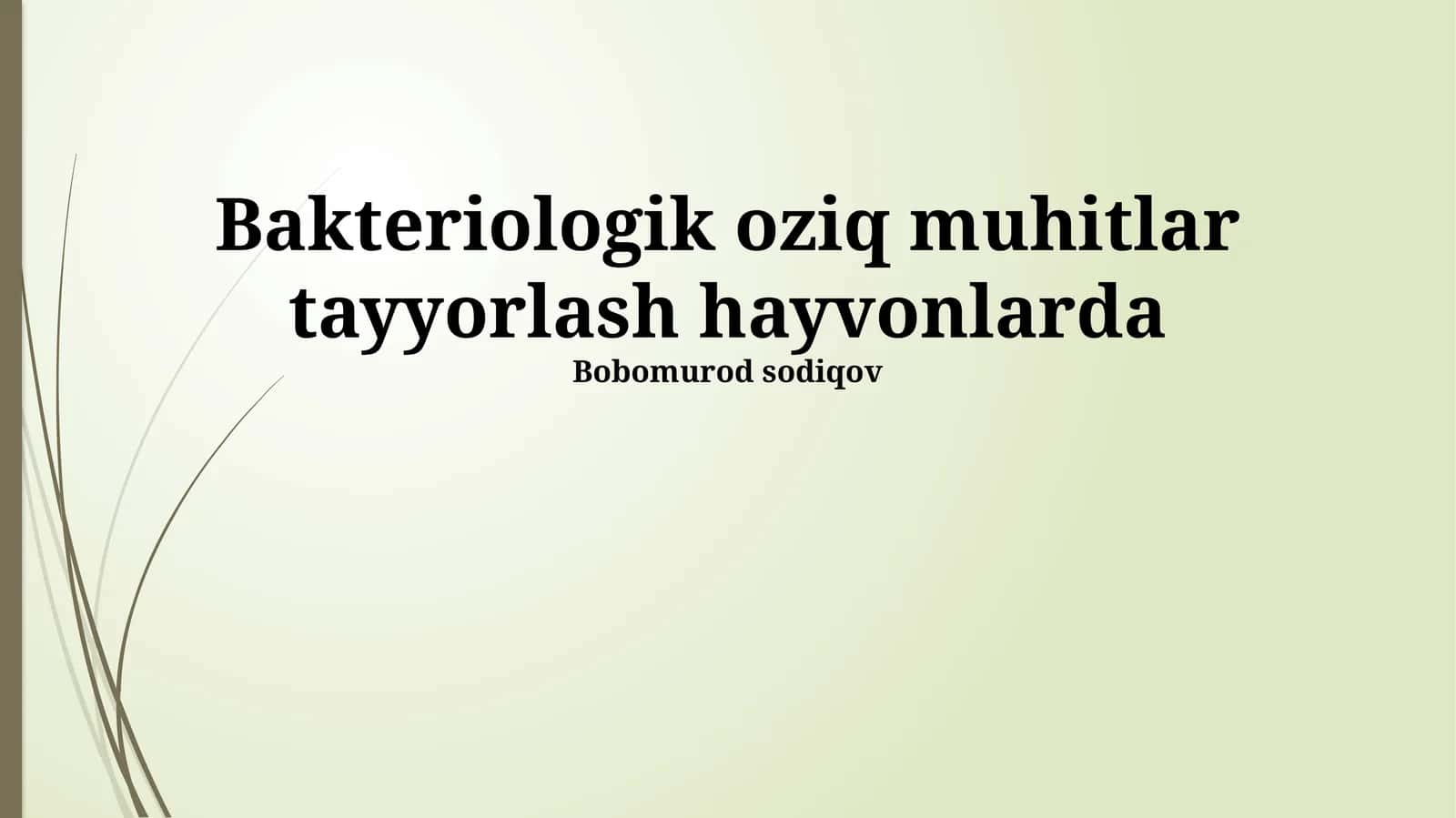 Bakteriologik oziq muhitlar tayyorlash hayvonlarda 1