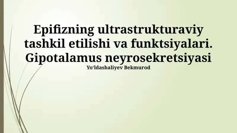 Epifizning ultrastrukturaviy tashkil etilishi va funktsiyalari 1