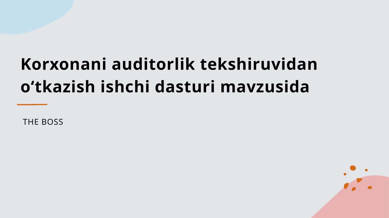 Korxonani auditorlik tekshiruvidan oʻtkazish ishchi dasturi 1