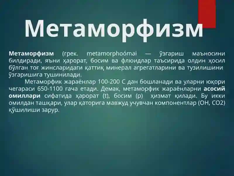 Метаморфизм