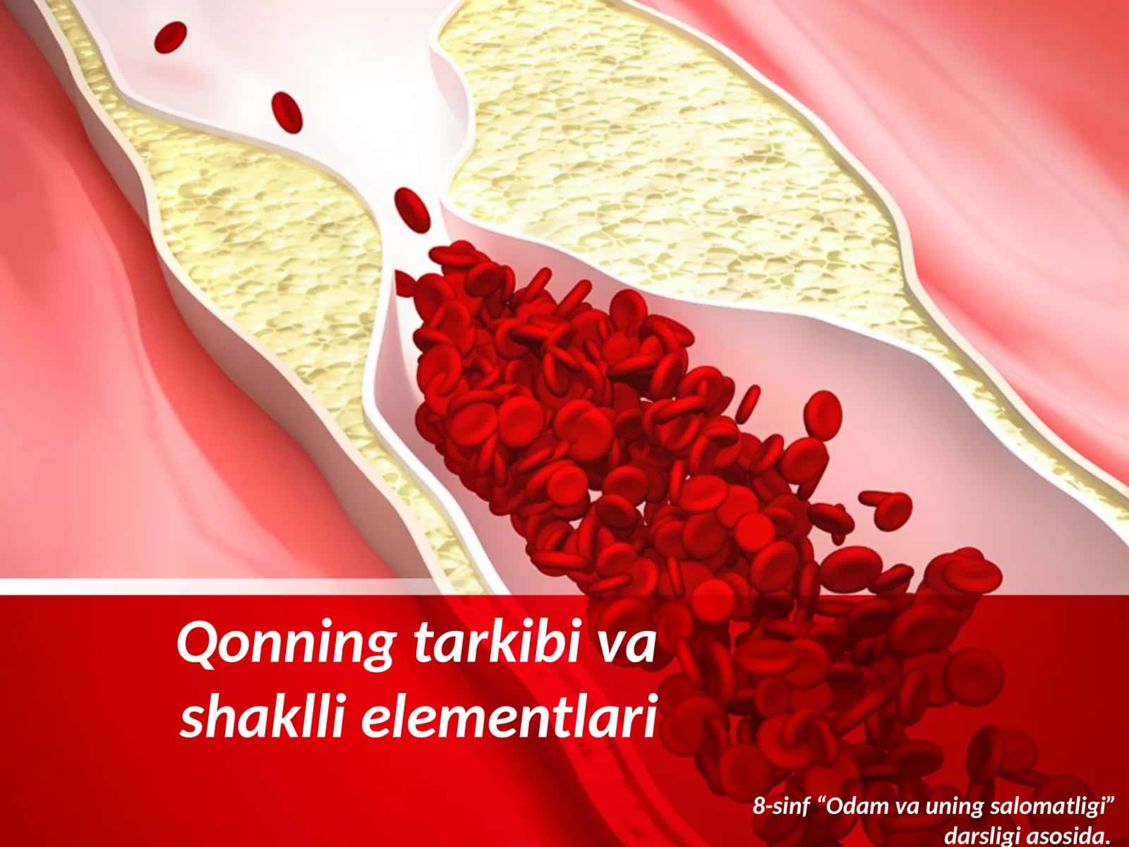 Qonning tarkibi va shaklli elementlari 1