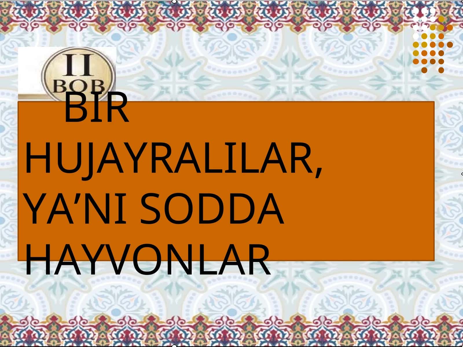 BIRHUJAYRALILAR, YA’NI SODDAHAYVONLAR 1