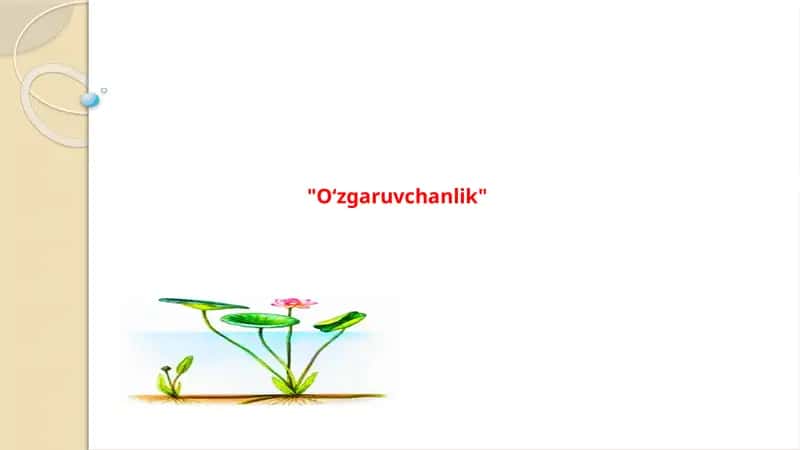 O'zgaruvchanlik 1