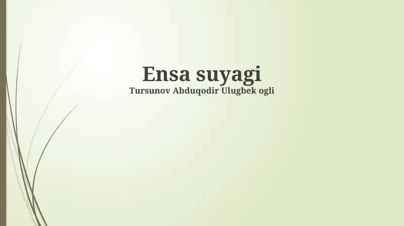 Ensa suyagi 1