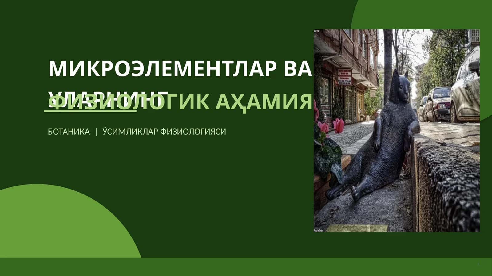 МИКРОЭЛЕМЕНТЛАР ВА УЛАРНИНГ ФИЗИОЛОГИК АҲАМИЯТИ 1