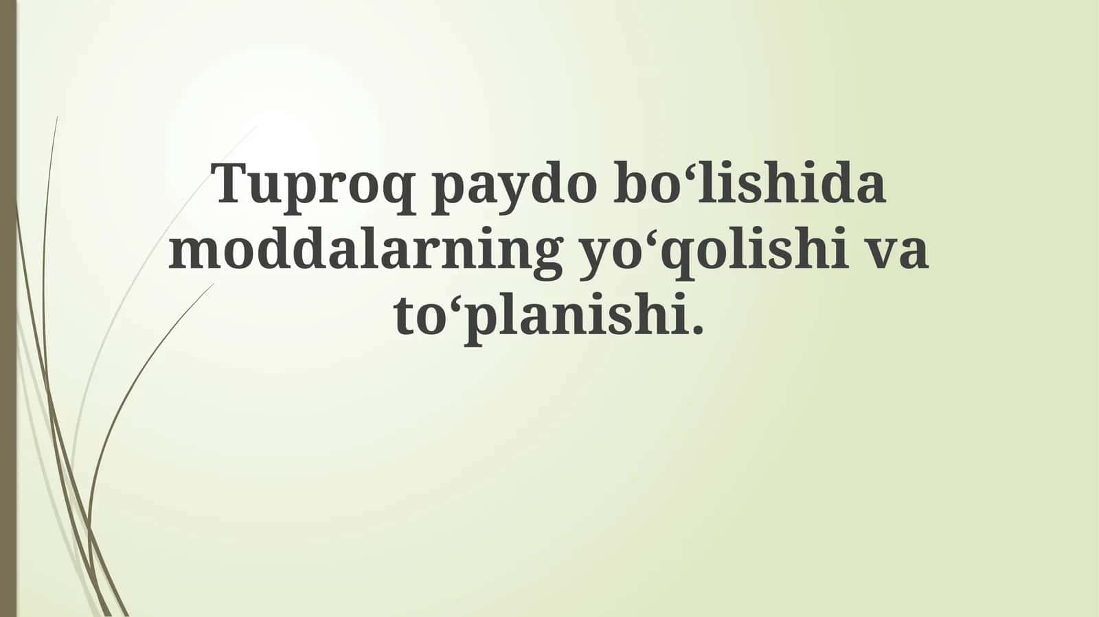 Tuproqpaydobo‘lishidamoddalarningyo‘qolishivato‘planishi 1