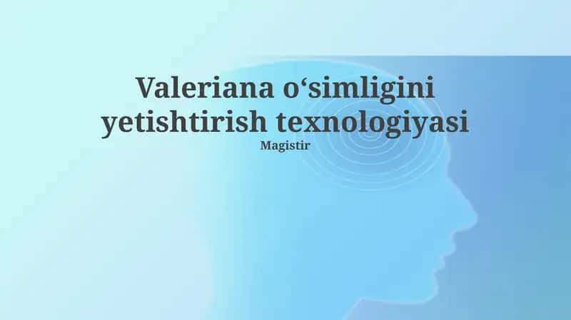 Valeriana oʻsimligini yetishtirish texnologiyasi 1