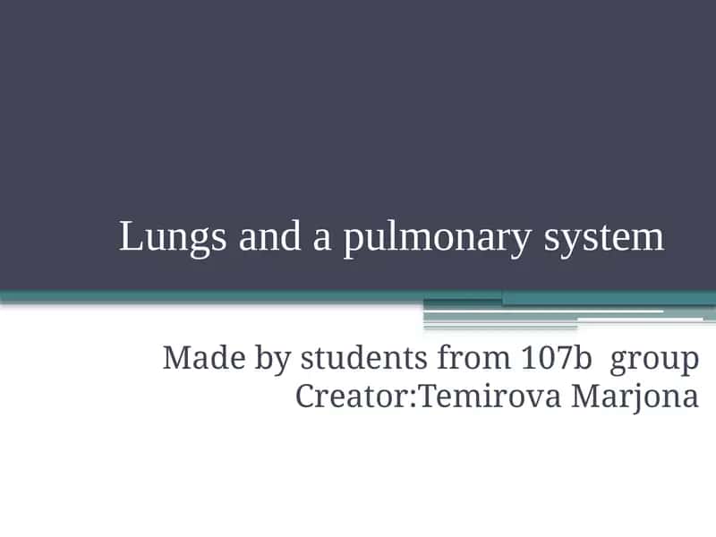 Lungs and a pulmonary system 1