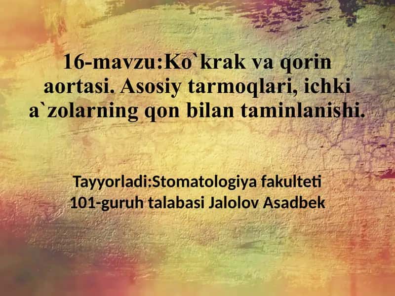 16-mavzu:Ko`krak va qorin aortasi. Asosiy tarmoqlari, ichki a`zolarning qon bilan taminlanishi. 1