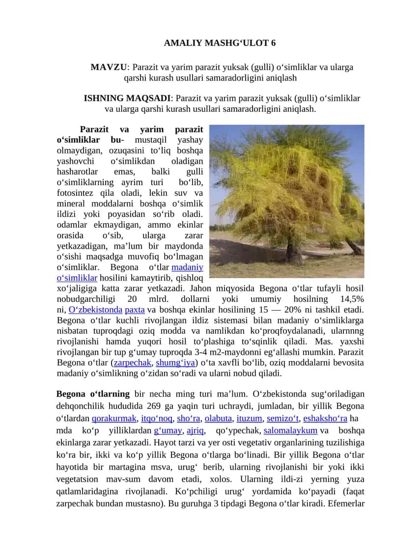 Parazit va yarim parazit yuksak (gulli) o‘simliklar va ularga qarshi kurash usullari samaradorligini aniqlash 1