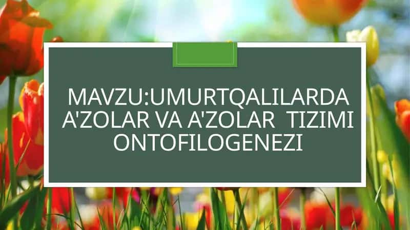 Mavzu:Umurtqalilarda a'zolar va a'zolar  tizimi ontofilogenezi 1
