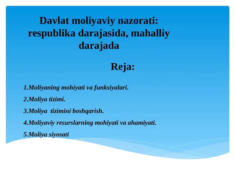 Davlat moliyaviy nazorati 1