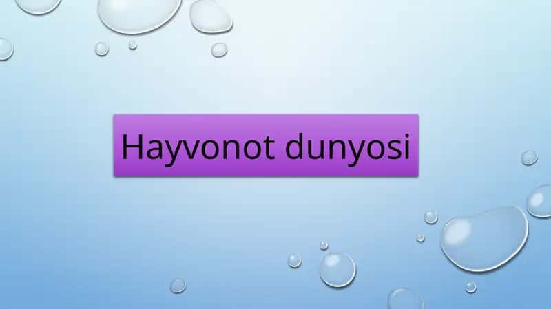Hayvonotdunyosi 1