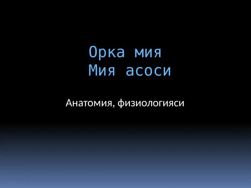 Орка мия 1
