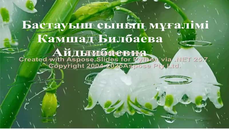 Бастауыш сынып мұғалімі 1