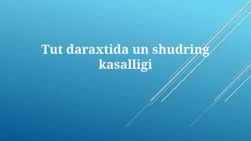 Tutdaraxti un-shudring kasalligi 1