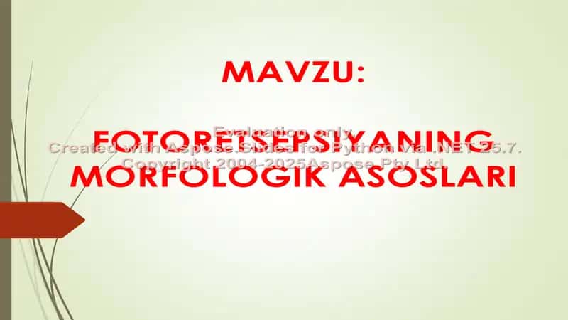 Fotoresepsiyani MORFOLOGIK ASOSLARI 1