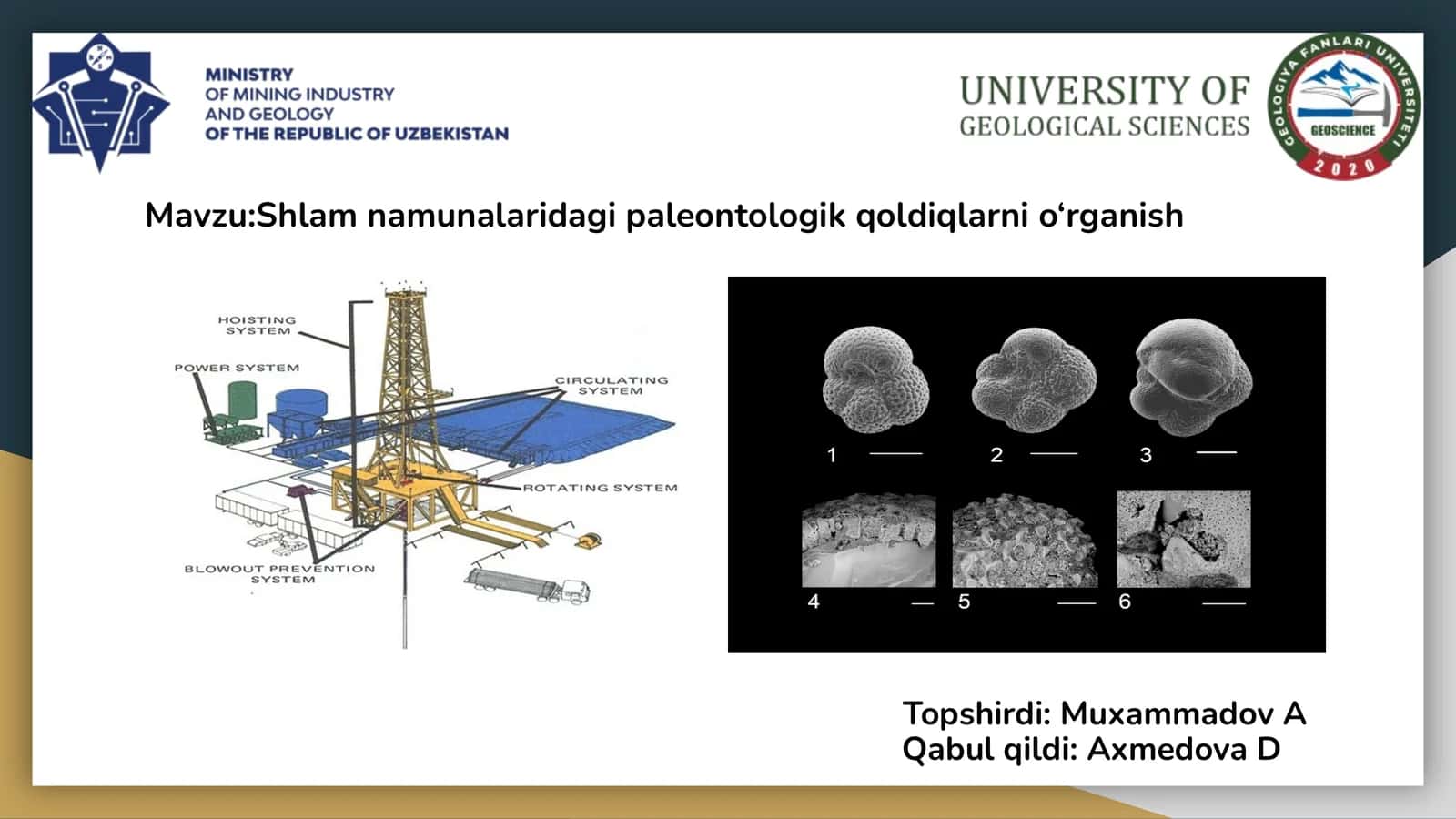 Mavzu:Shlam namunalaridagi paleontologik qoldiqlarni o‘rganish 1