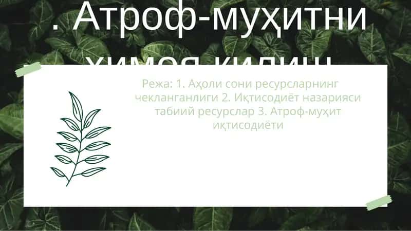 Атроф-муҳитни ҳимоя қилиш 1