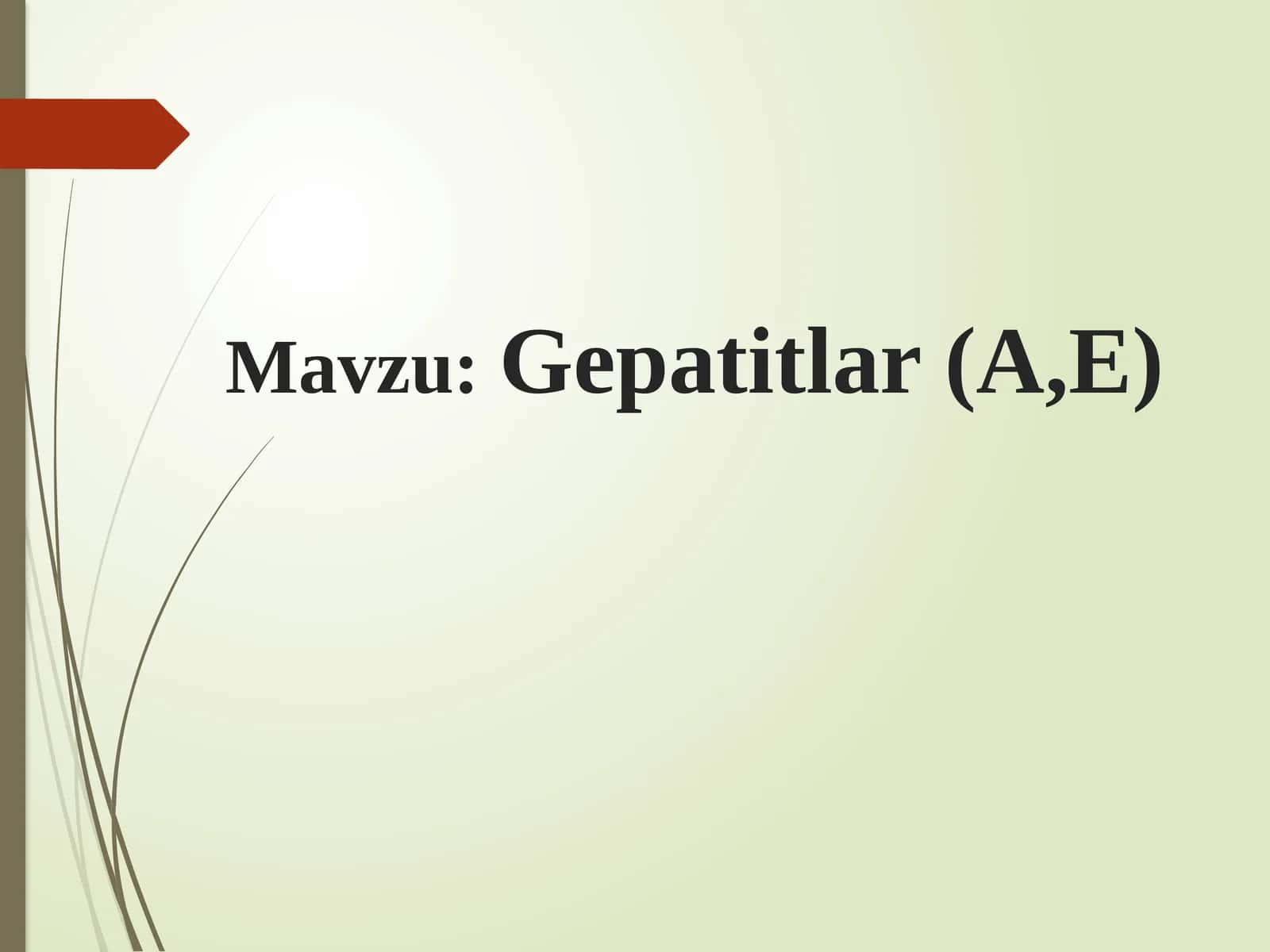 Gepatitlar 1