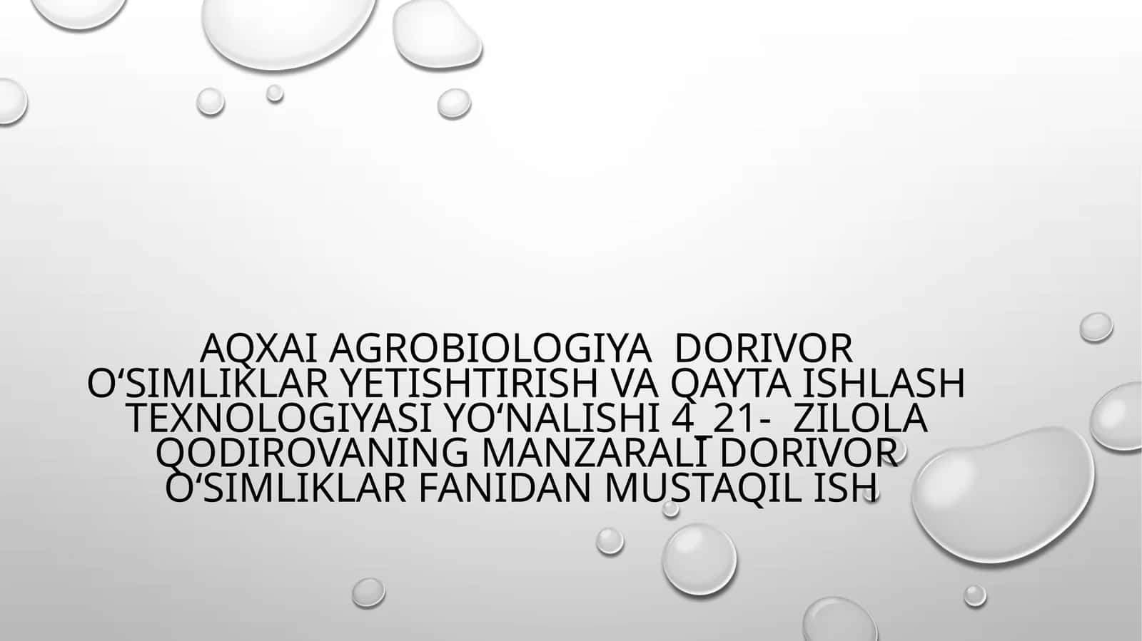 AQXAI agrobiologiya Dorivor oʻsimliklar yetishtirish va qayta ishlash texnologiyasi yoʻnalishi 4_21- zilola Qodirovaning Manzarali dorivor oʻsimliklar fanidan mustaqil ish 1