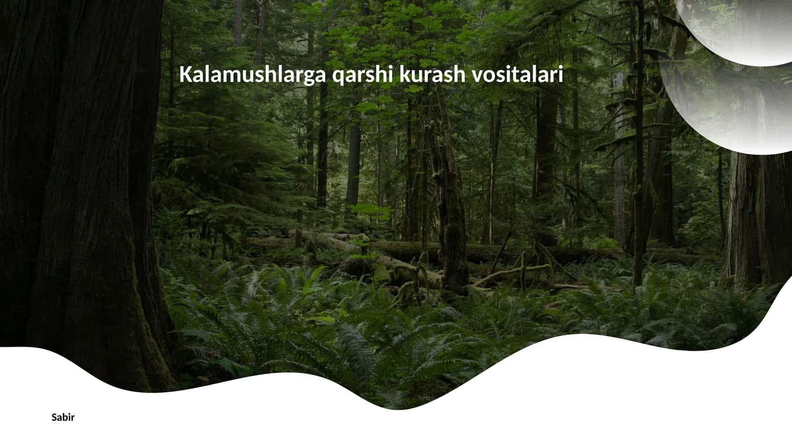 Kalamushlarga qarshi kurash vositalari 1