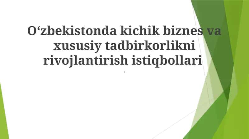 Kichik biznes va xususiy tadbirkorlikni rivojlantirish 1