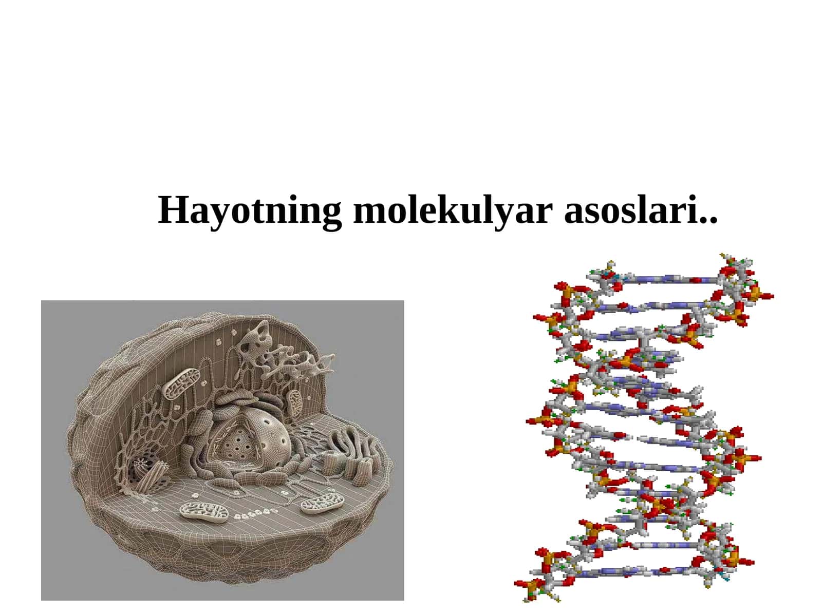 Hayotning molekulyar asoslari 1