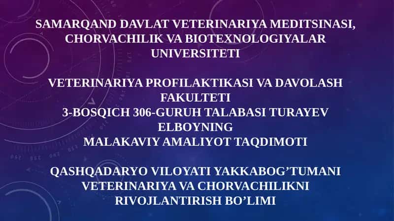 Turayev Elboyning malakaviy amaliyot taqdimoti 1