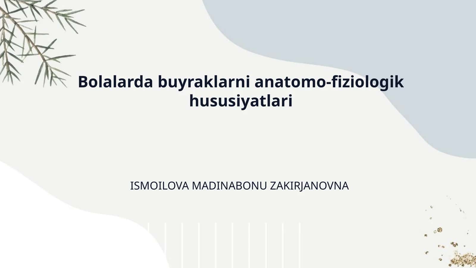 Bolalarda buyraklarni anatomo-fiziologik hususiyatlari 1