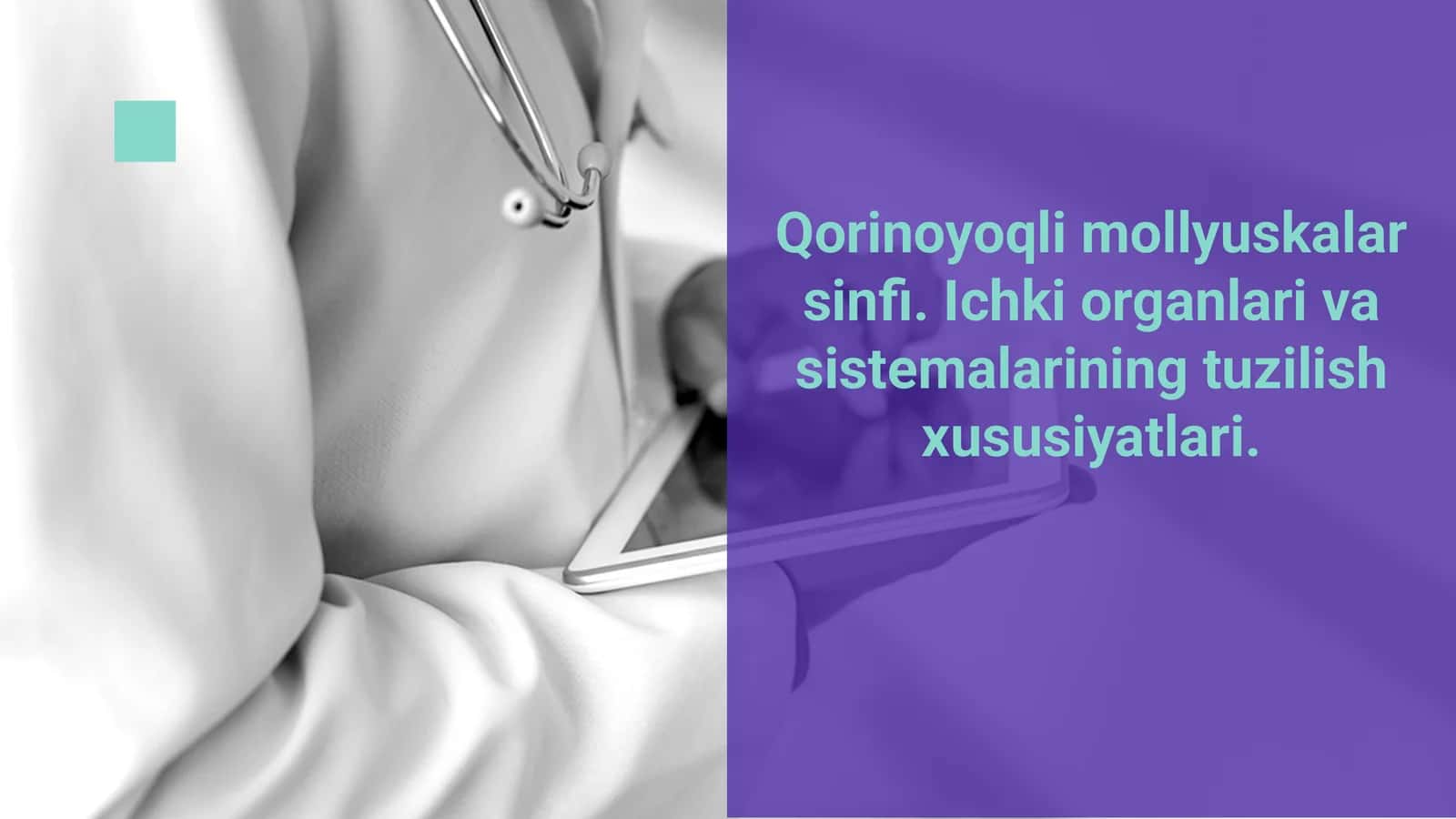 Qorinoyoqli mollyuskalar sinfi 1