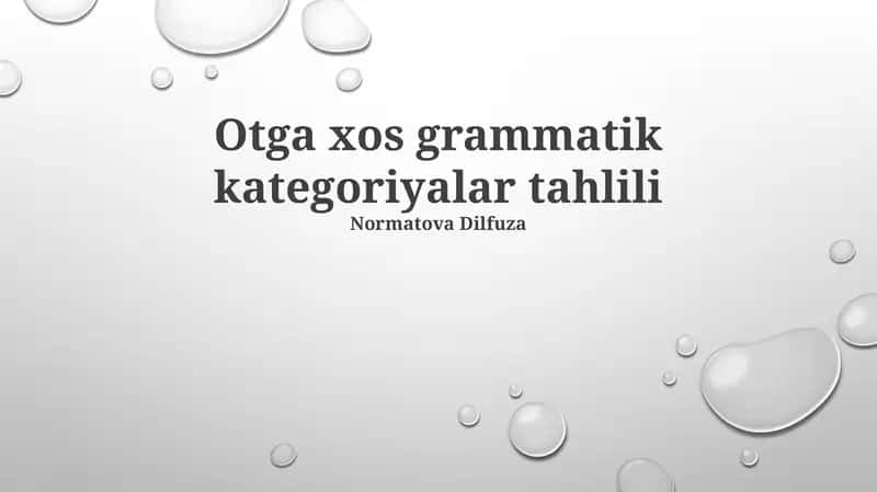Otga Xos Grammatik Toifalarni Tahlili 1