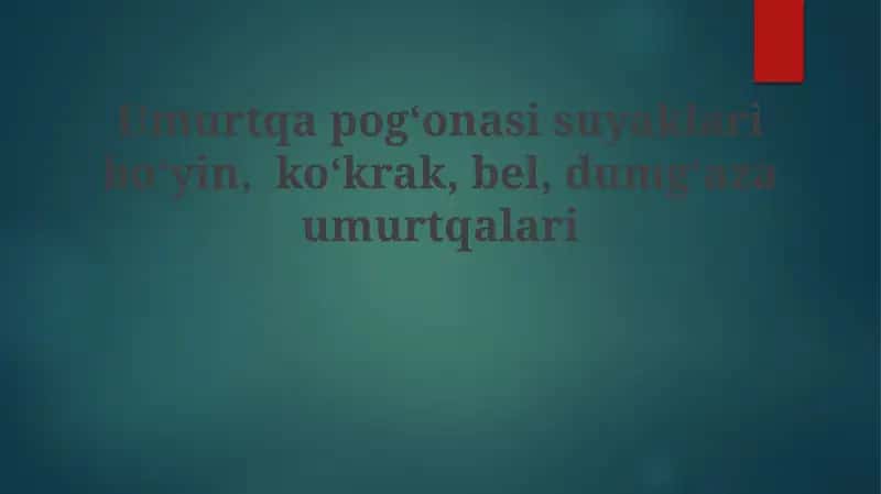 Umurtqa pog'onasi suyaklariboʻyin,koʻkrak,bel,dumgʻazaumurtqalari 1