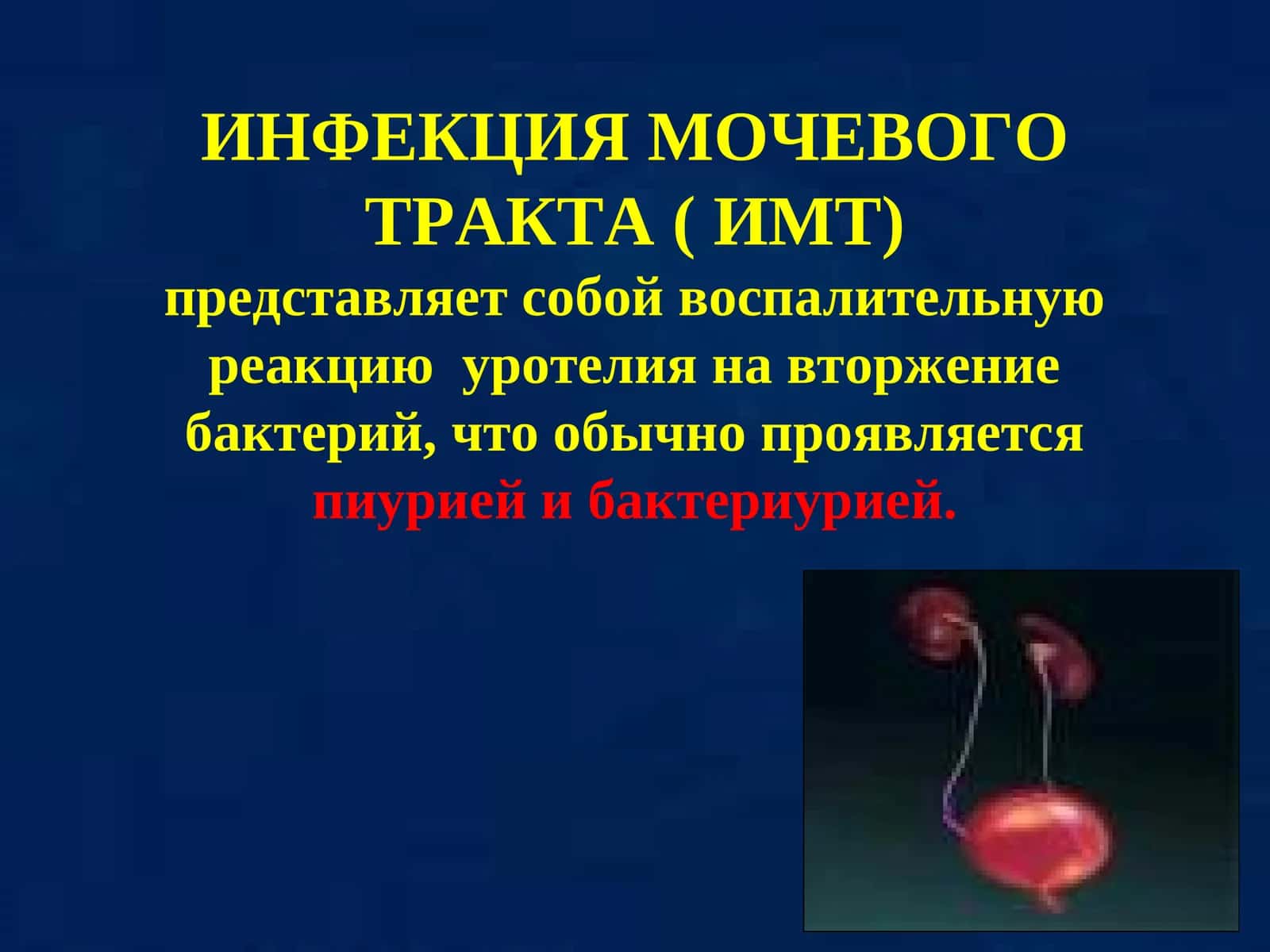 ИНФЕКЦИЯ МОЧЕВОГО ТРАКТА ( ИМТ) 1