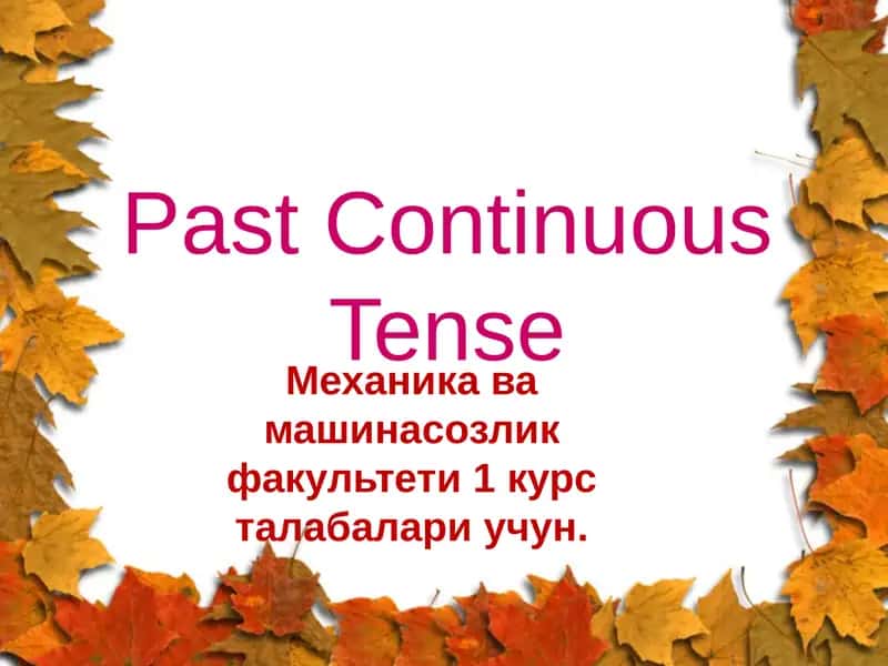Past Continuous Tense 1