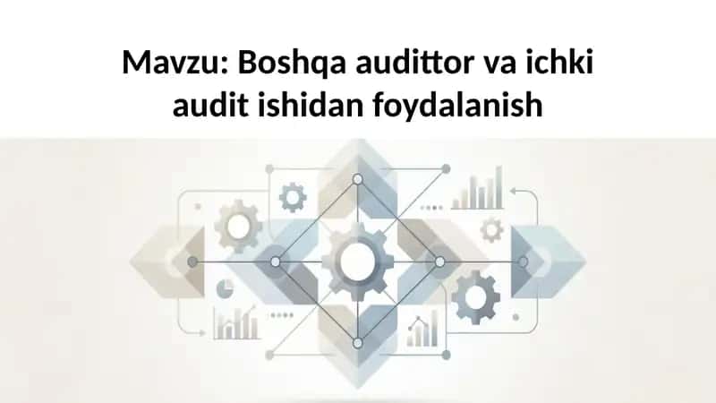 Boshqaaudittorva ichki audit ishidan foydalanish 1
