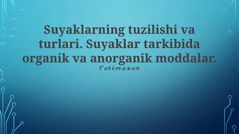 Suyaklarning tuzilishi va turlari 1