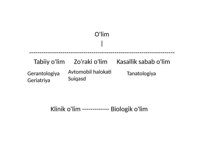 O`lim turlari 1