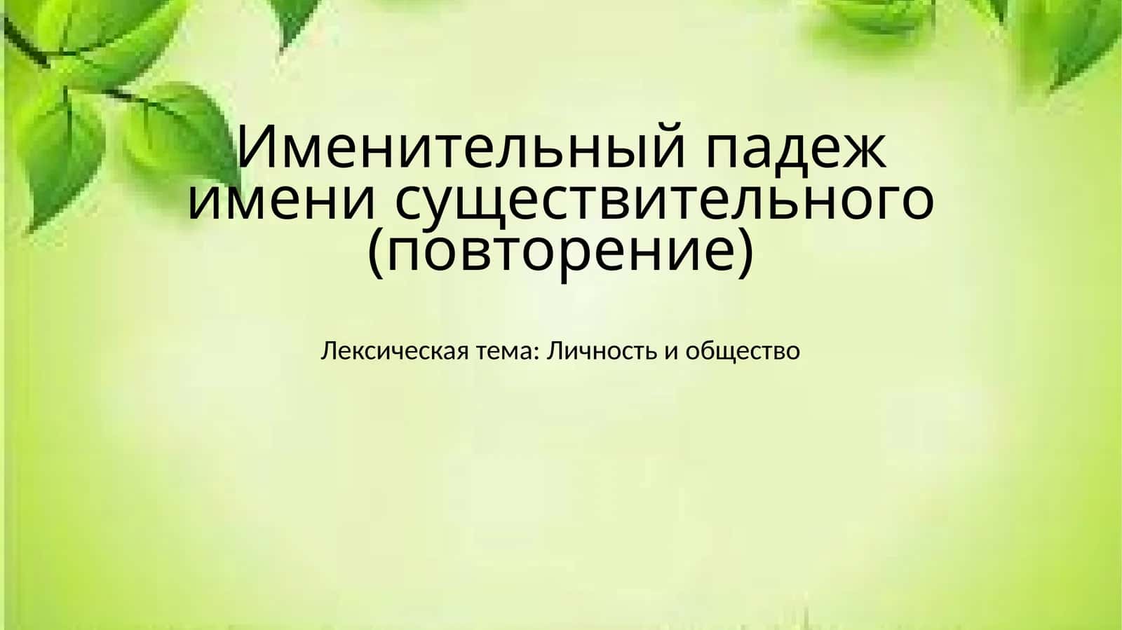 Именительный падеж имени существительного (повторение) 1